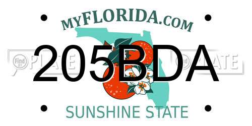 205BDA Florida License Plate
