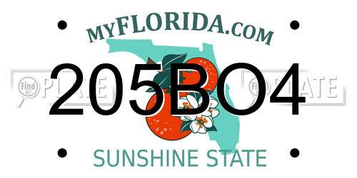 205BO4 Florida License Plate