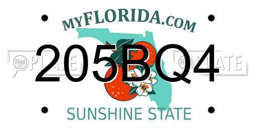 205BQ4 Florida License Plate