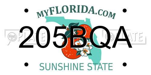 205BQA Florida License Plate