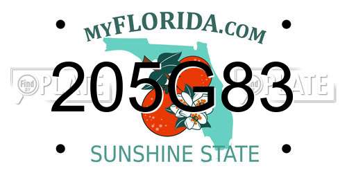 205G83 Florida License Plate