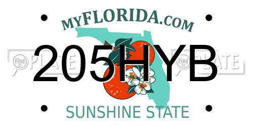 205HYB Florida License Plate