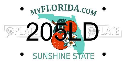 205LD Florida License Plate