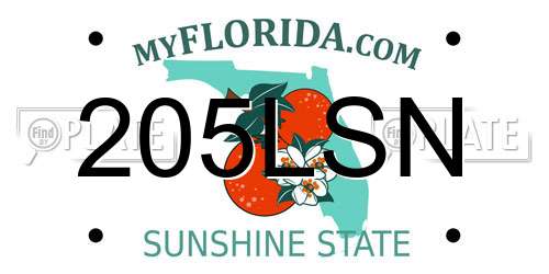 205LSN Florida License Plate