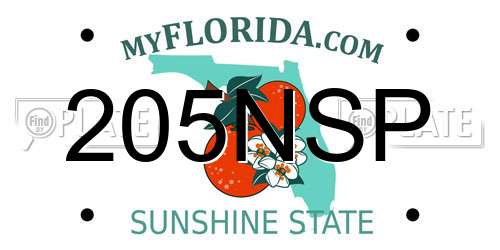 205NSP Florida License Plate