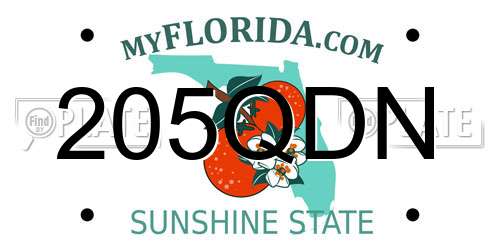205QDN Florida License Plate