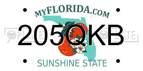 205QKB Florida License Plate