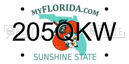 205QKW Florida License Plate