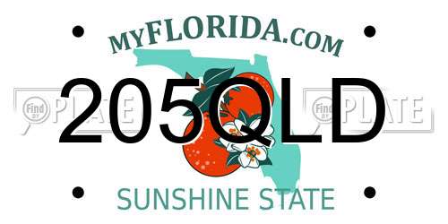 205QLD Florida License Plate
