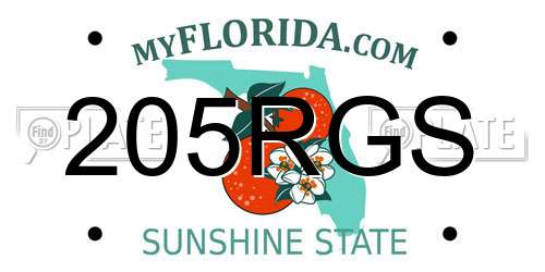 205RGS Florida License Plate