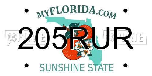 205RUR Florida License Plate