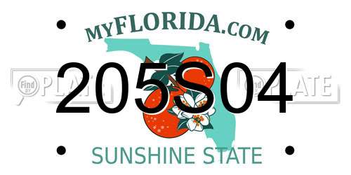 205S04 Florida License Plate