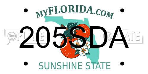 205SDA Florida License Plate
