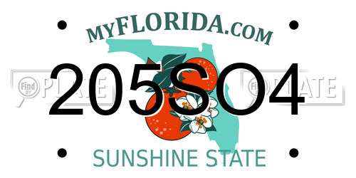 205SO4 Florida License Plate