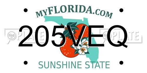 205VEQ Florida License Plate