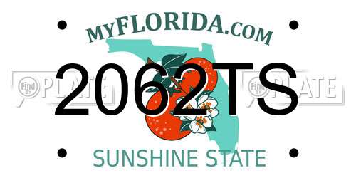 2062TS Florida License Plate