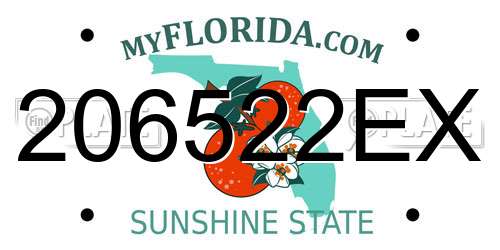 206522EX Florida License Plate
