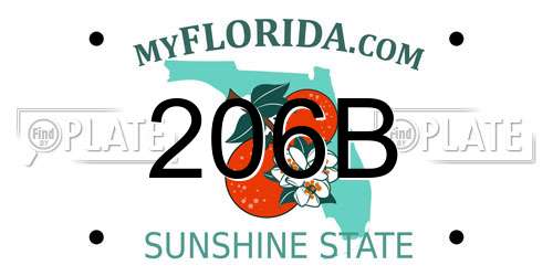 206B Florida License Plate