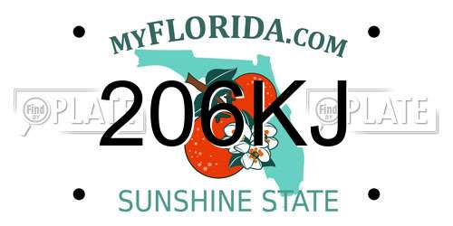 206KJ Florida License Plate