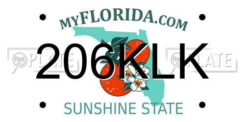 206KLK Florida License Plate