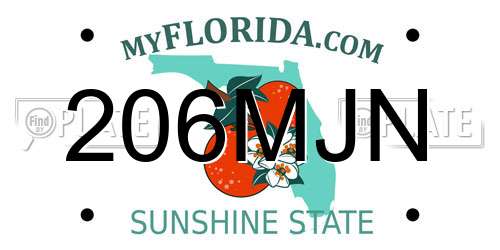 206MJN Florida License Plate