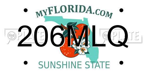 206MLQ Florida License Plate