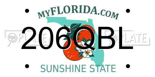 206QBL Florida License Plate