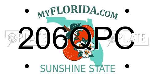 206QPC Florida License Plate