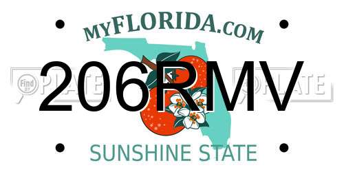 206RMV Florida License Plate