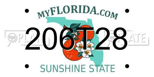 206T28 Florida License Plate