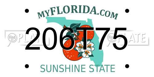 206T75 Florida License Plate