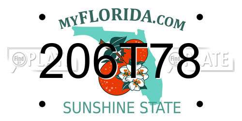 206T78 Florida License Plate
