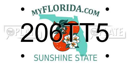 206TT5 Florida License Plate