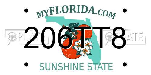 206TT8 Florida License Plate