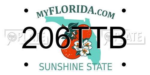 206TTB Florida License Plate