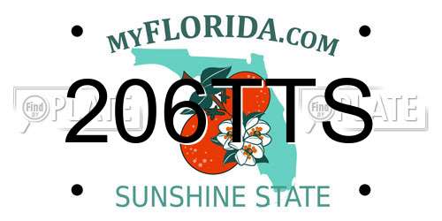 206TTS Florida License Plate