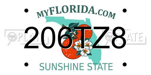 206TZ8 Florida License Plate