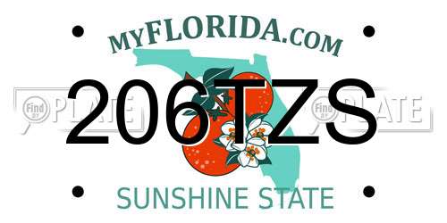 206TZS Florida License Plate