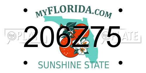206Z75 Florida License Plate