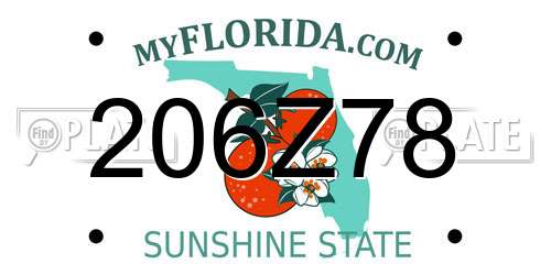 206Z78 Florida License Plate