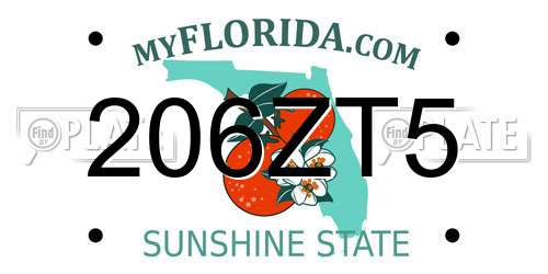 206ZT5 Florida License Plate