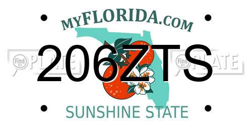 206ZTS Florida License Plate