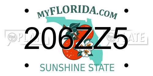 206ZZ5 Florida License Plate