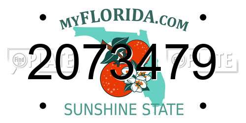2073479 Florida License Plate