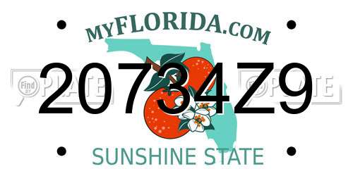 20734Z9 Florida License Plate