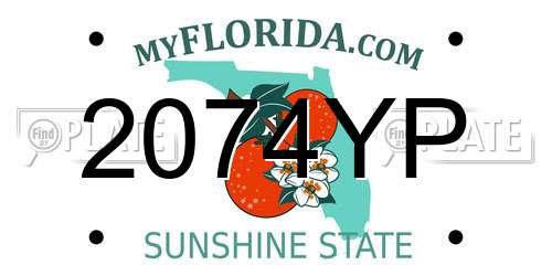 2074YP Florida License Plate
