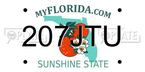 207JTU Florida License Plate