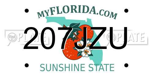 207JZU Florida License Plate