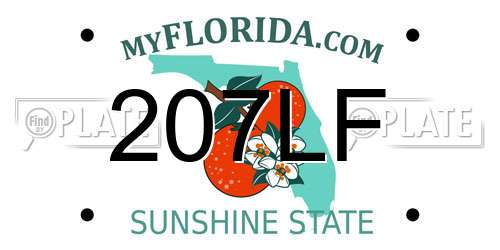 207LF Florida License Plate