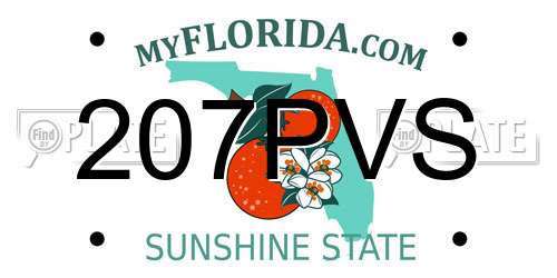207PVS Florida License Plate